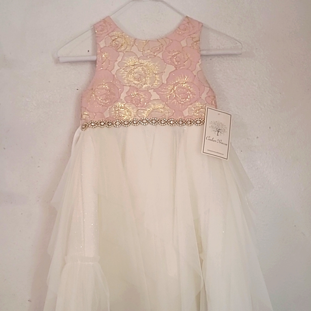 Girls Pink Gold Couture Princess dress